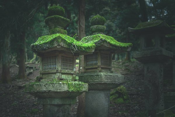 Comment organiser une visite des temples bouddhistes en Thaïlande?