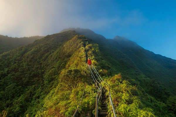 Quels sont les meilleurs sentiers pour une randonnée le long des falaises de Moher en Irlande?
